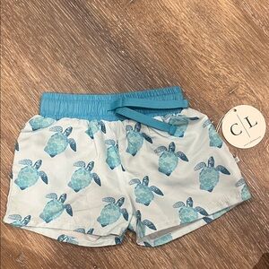 Caden Lane Sea Turtle Print Shorts - Teal and White